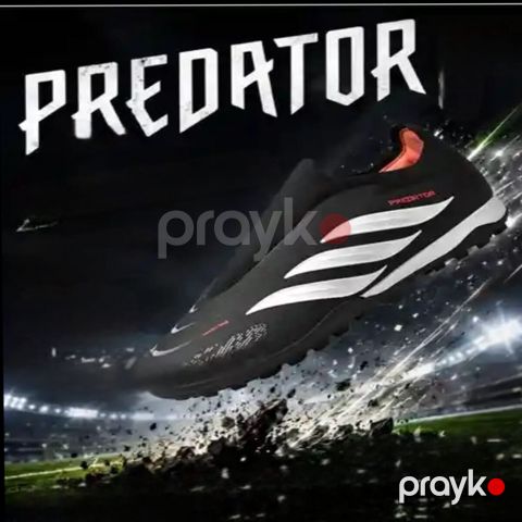 Kranponlar (predator)