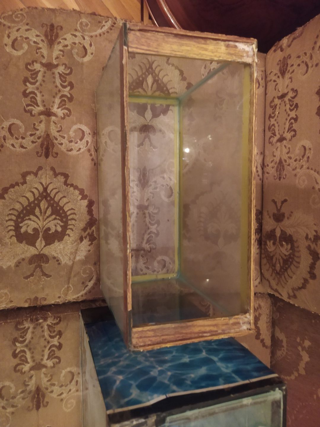 Akvarium — Akvariumlar və balıqlar, Bakı (5)