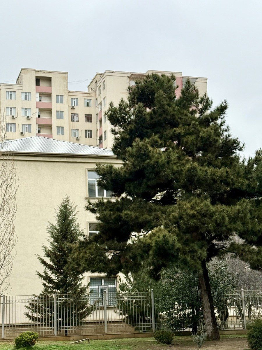 Satılır 3 otaqlı yeni tikili 100 m² — Mənzil, Bakı (4)
