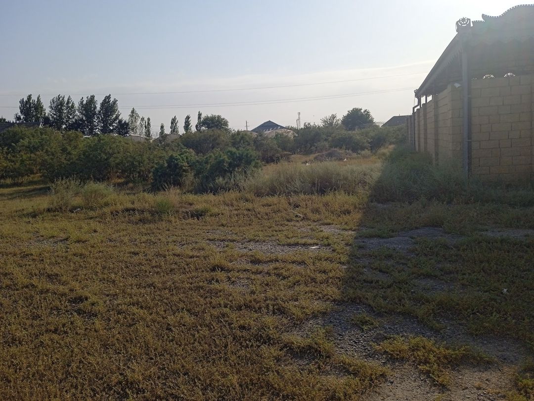 Həyət evi, Salyan r. — Daşınmaz əmlak, Salyan (7)