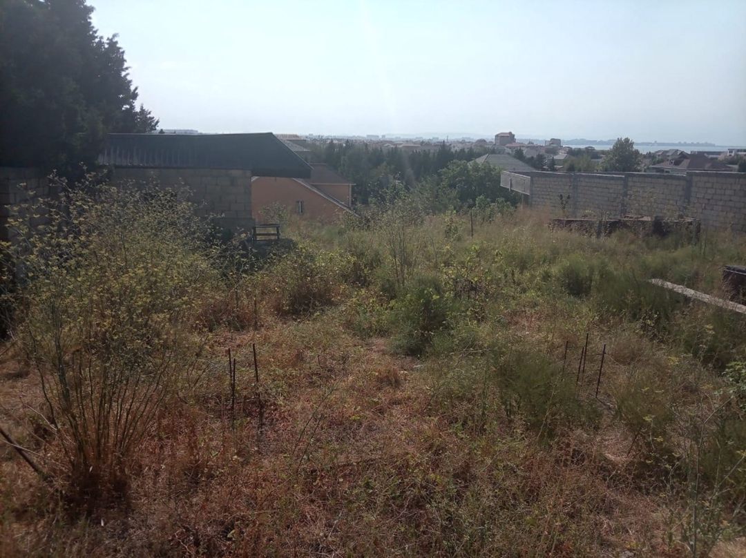 Satılır torpaq 9 sot — Torpaq, Bakı (3)