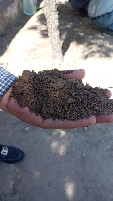 Torpaq və gübrə