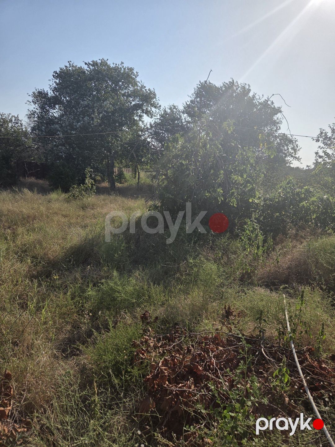 2 sot torpaq sahəsi, Saray qəs. — Torpaq, Bakı (3)