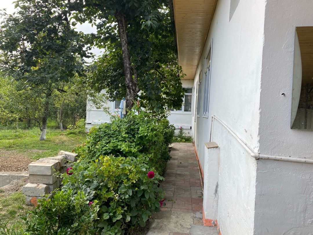 Həyət evi kirayə verilir, Qəbələ ş. — Ev, villa, Qəbələ (3)