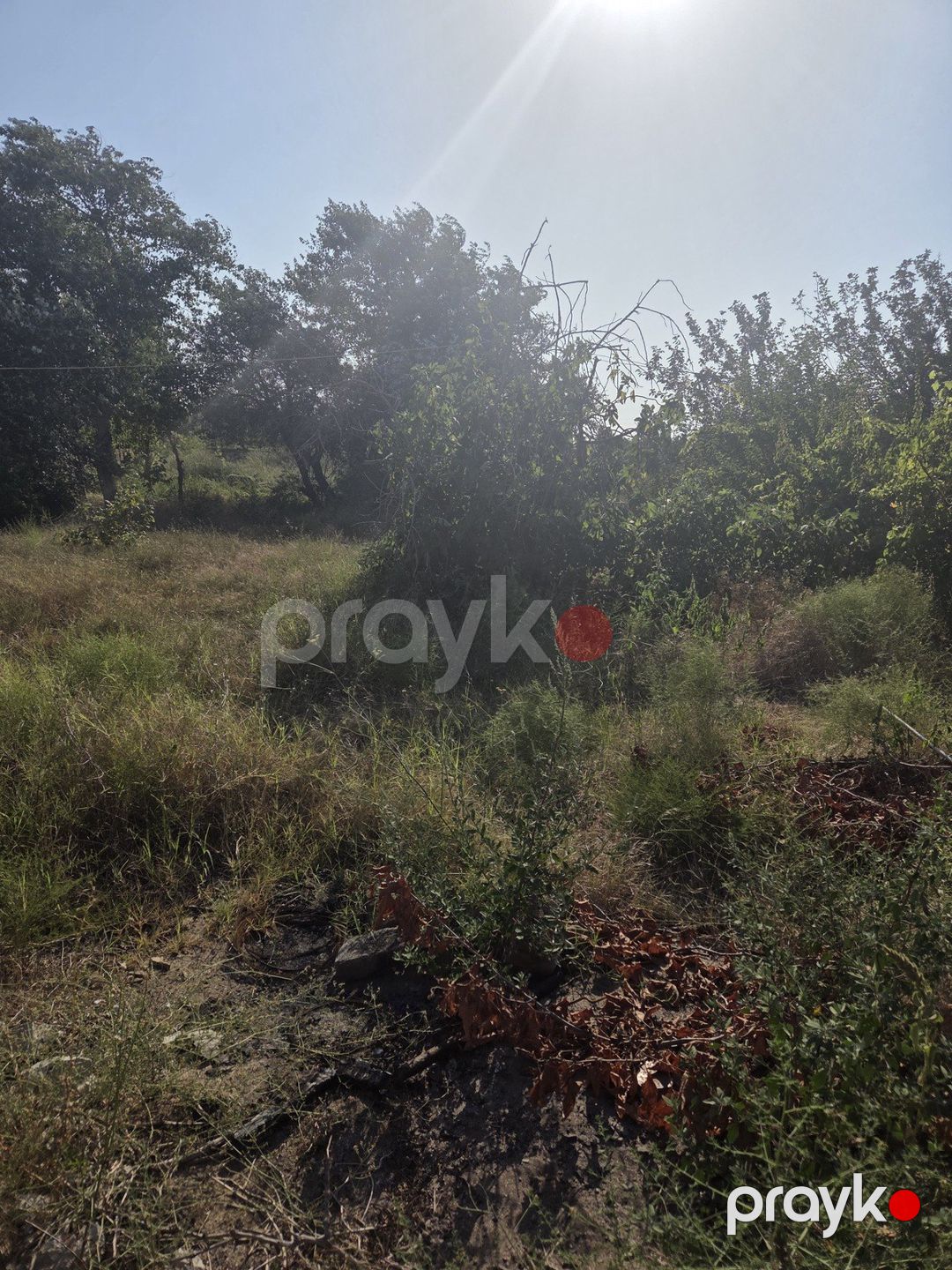 2 sot torpaq sahəsi, Saray qəs. — Torpaq, Bakı (2)