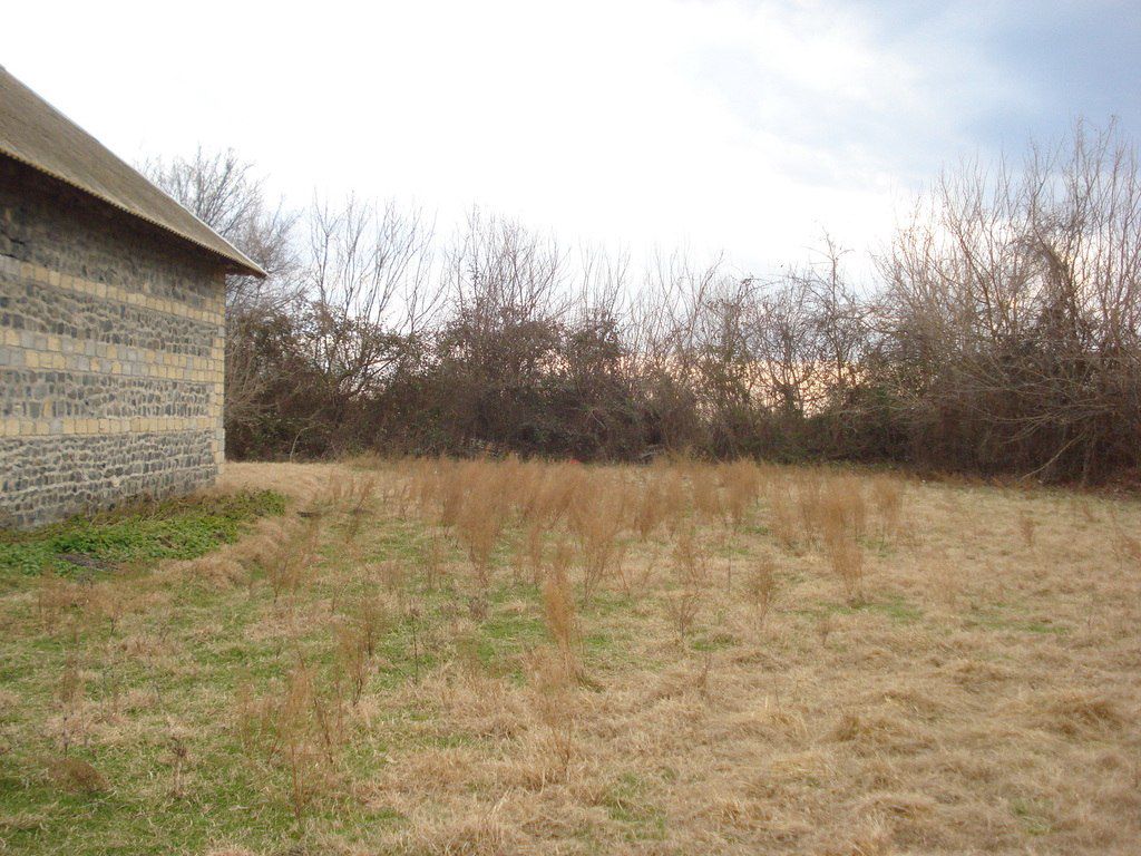 Satılır 1 otaqlı həyət evi/bağ evi 28.8 m² — Ev, villa, Ağdaş (3)