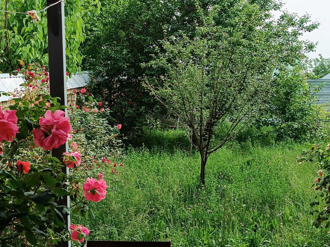 İcarəyə verilir 3 otaqlı həyət evi/bağ evi 100 m² — Ev, villa, Qəbələ (11)