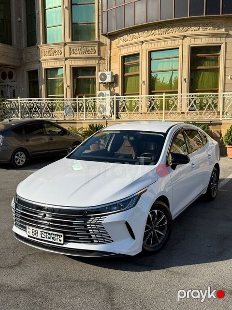 BYD Destroyer 05, 1.5 L, 18.3 kWh, 2024 il, 113 000 km