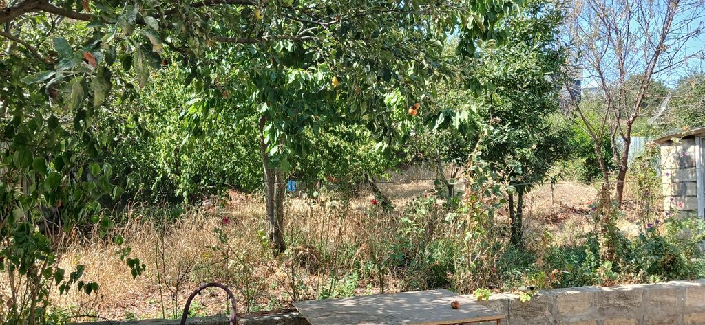 8 otaq, 10 kv. m, Orta təmir — Daşınmaz əmlak, Şamaxı (2)