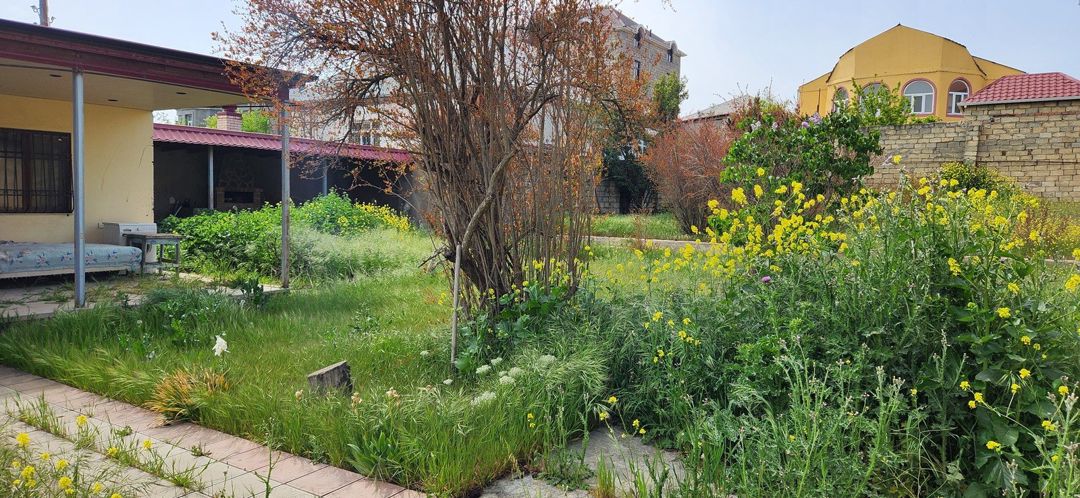 Satılır torpaq 9.5 sot — Torpaq, Bakı (5)