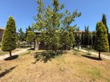 12 sot torpaq sahəsi, Mərdəkan qəs. — Abşeron Bağları — Land plot