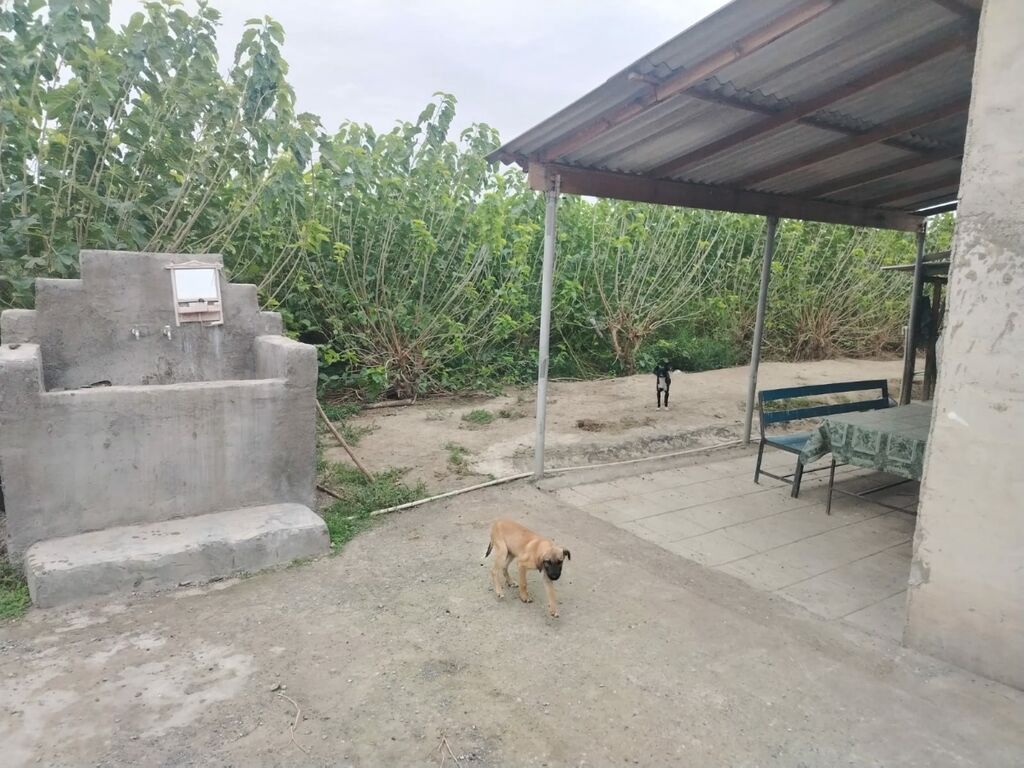 Ferma mal bazarina bir kilometr mesafede yerlesirqarabag su — Daşınmaz əmlak, Bərdə (5)