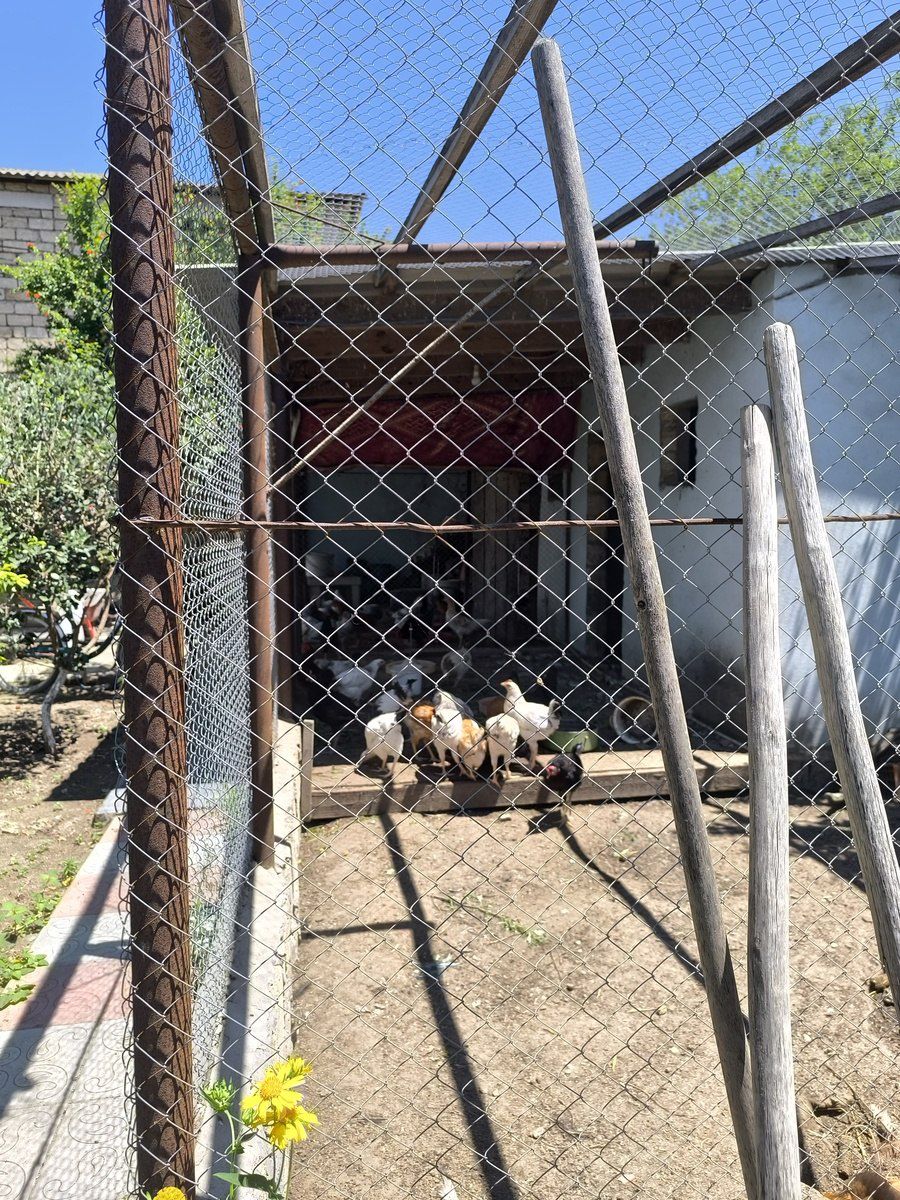 Satılır 2 otaqlı həyət evi/bağ evi 80 m² — Ev, villa, Bakı (6)