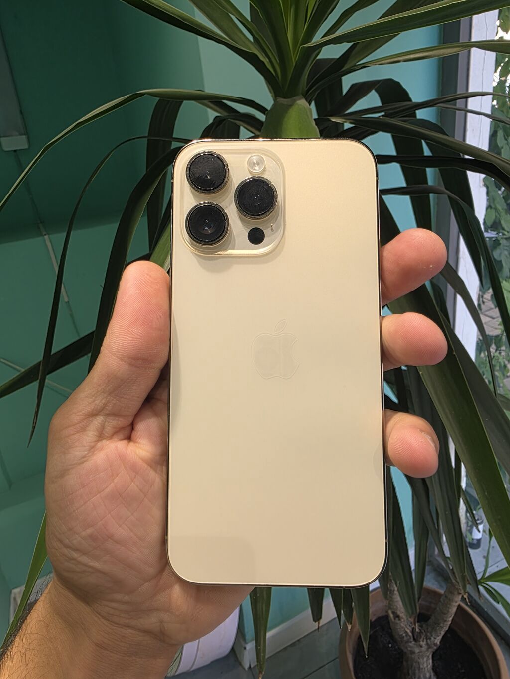 IPhone 14 Pro Max, Qızılı