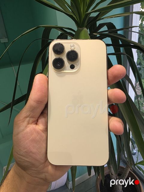 IPhone 14 Pro Max, Qızılı