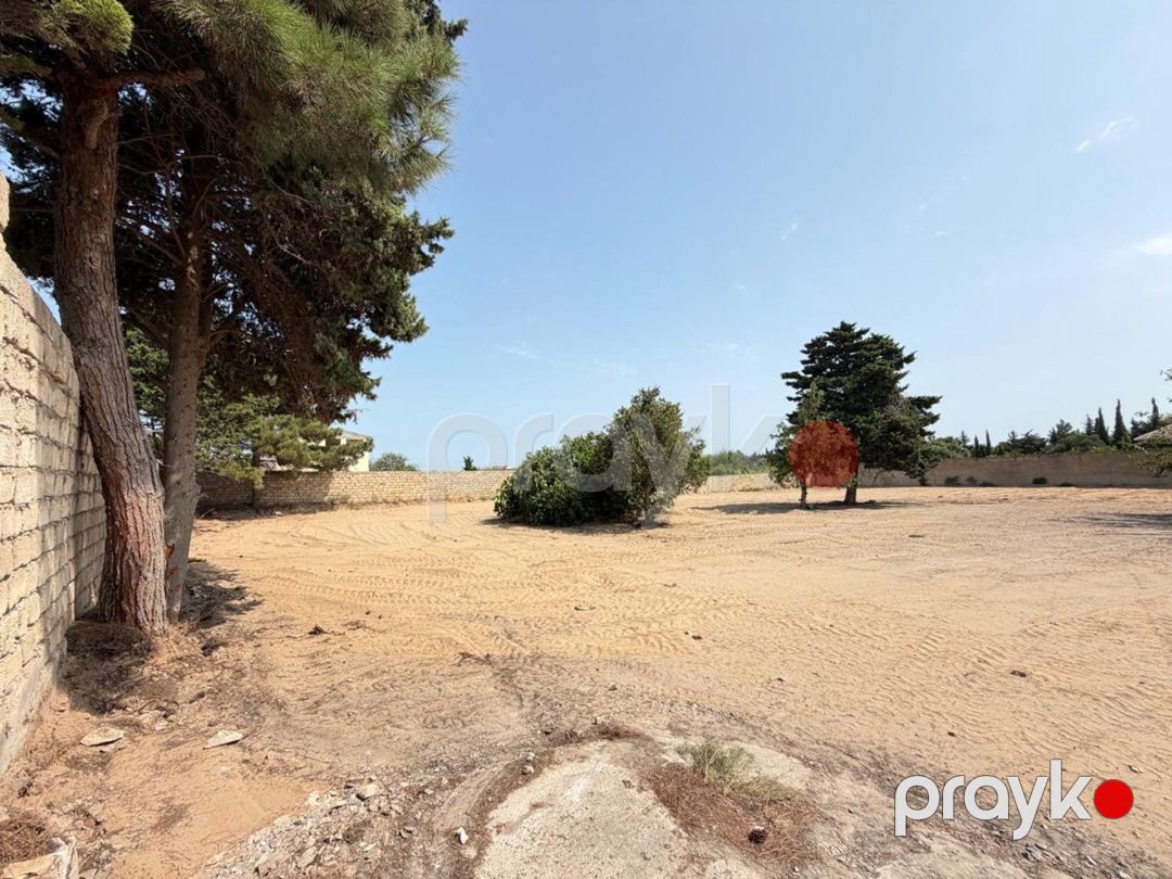 Satılır torpaq 8 sot — Torpaq, Bakı (2)
