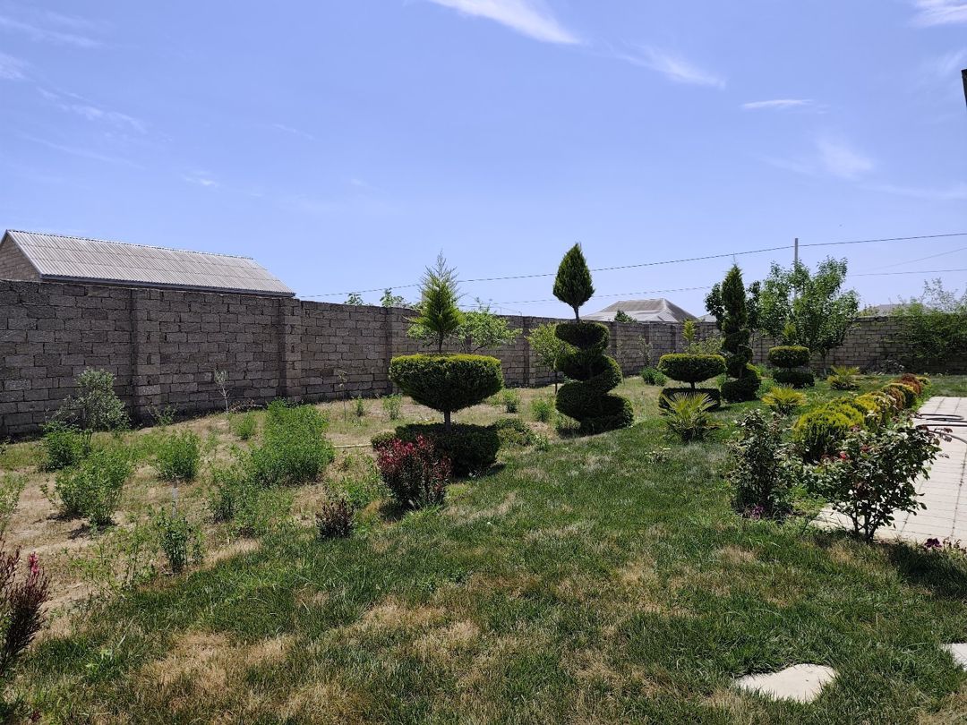 Bağ evi kirayə verilir, Qala qəs. — Daşınmaz əmlak, Bakı