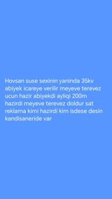 Hövsan şüşə sexinin yanında 35 kv obyekt icarəyə verilir — Nigar