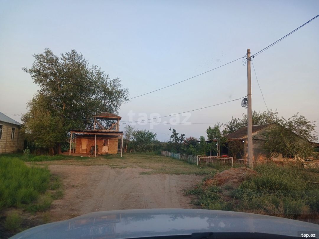 6500 sot torpaq sahəsi, Sabirabad r. — Torpaq, Sabirabad (7)
