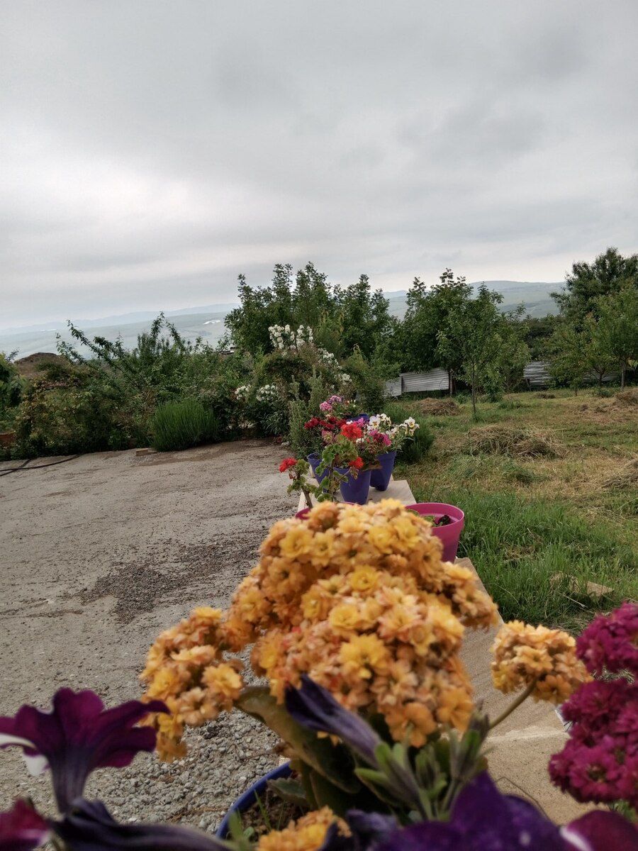 Həyət evi kirayə verilir, Şamaxı r. — Daşınmaz əmlak, Şamaxı (9)