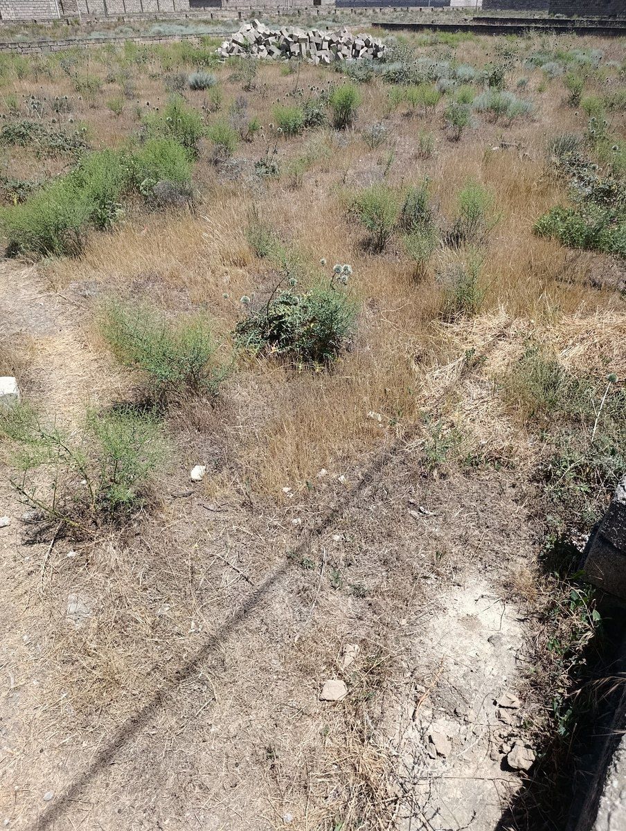 Satılır torpaq 10 sot — Torpaq, Bakı (5)