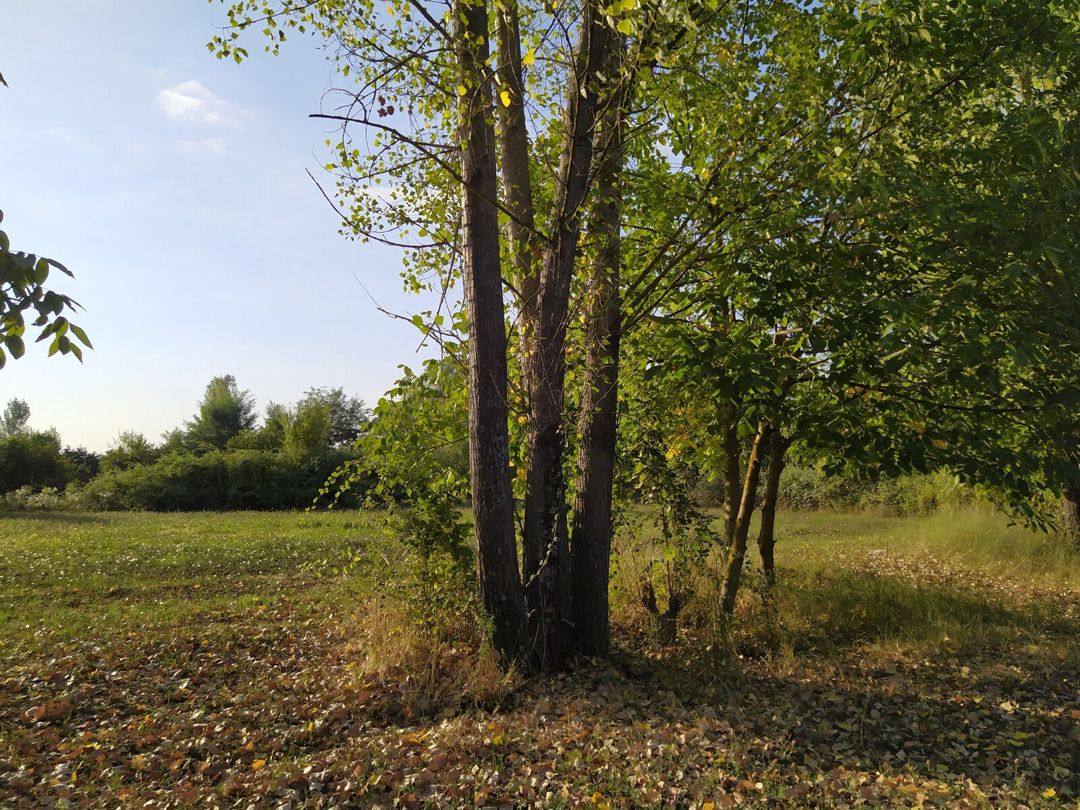 Satılır torpaq 28 sot — Torpaq, Qəbələ (9)