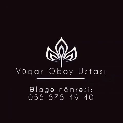 Vüqar Oboy Ustası – peşəkar divar kağızı işləmələri Xidmətlər: - Hər — Bakı