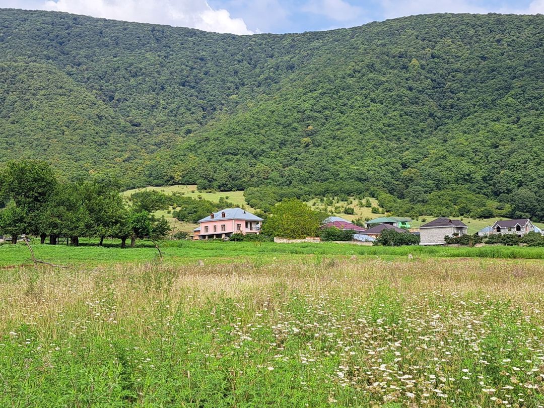 16 sot torpaq sahəsi, Qax r. — Torpaq, Qax (6)