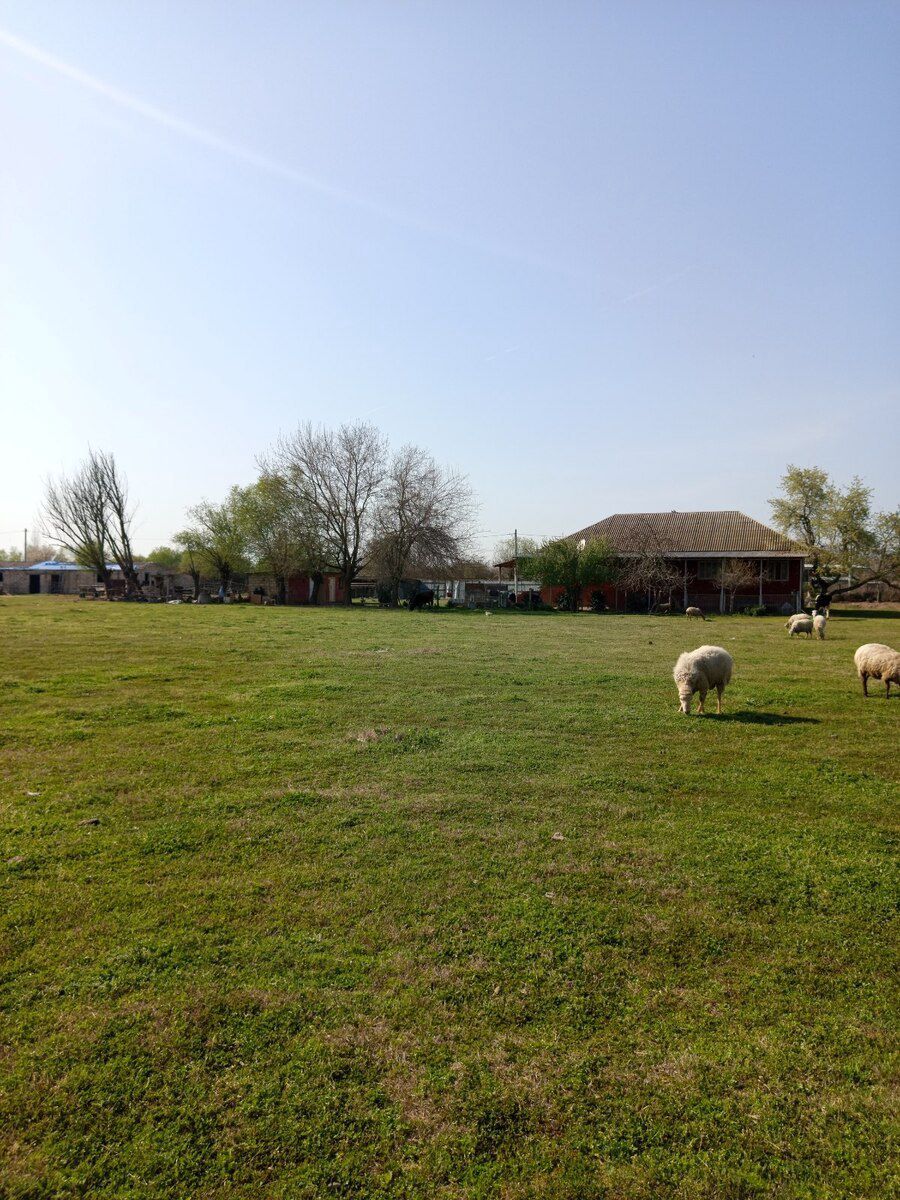 Həyət evi, Sabirabad r. — Daşınmaz əmlak, Sabirabad (5)