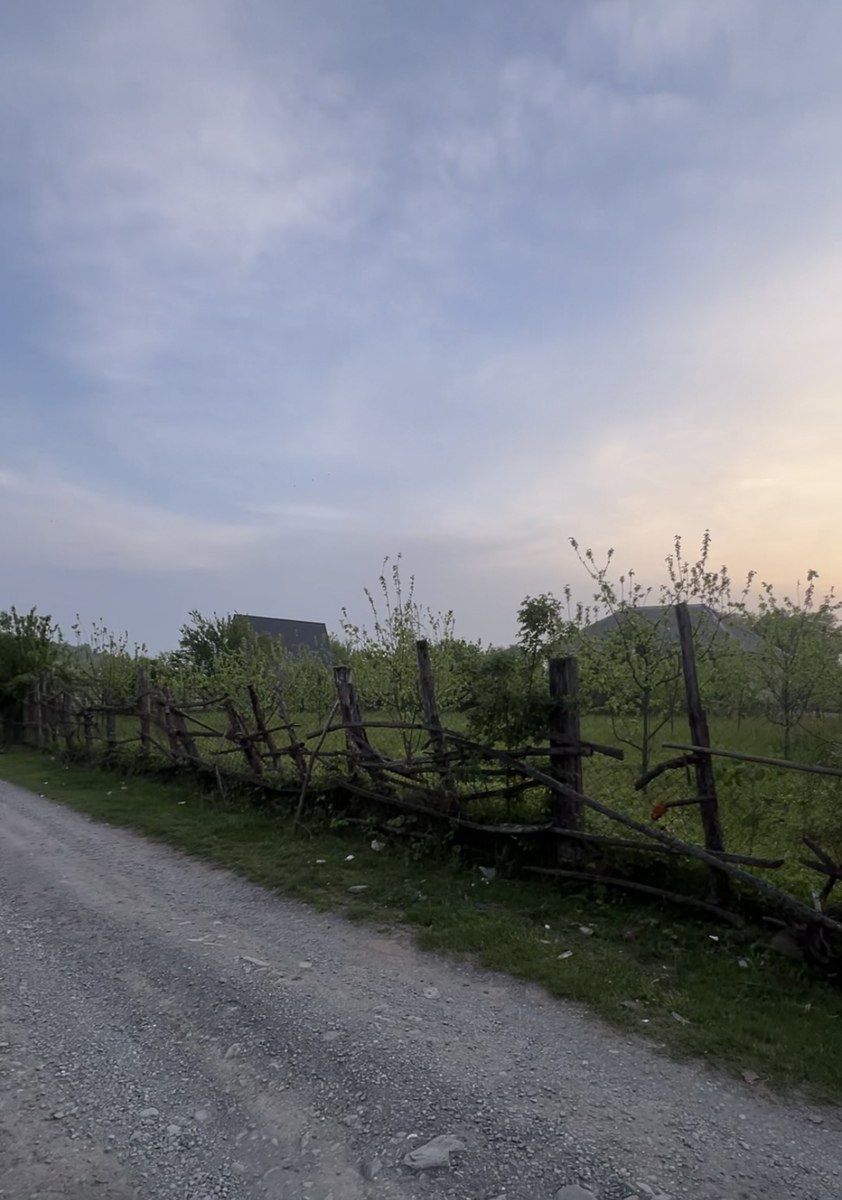 Satılır torpaq 12 sot — Torpaq, Qəbələ (6)