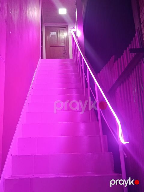 Neon işıqlı çay evi — fəaliyyətdə olan hazır biznes — Bakı