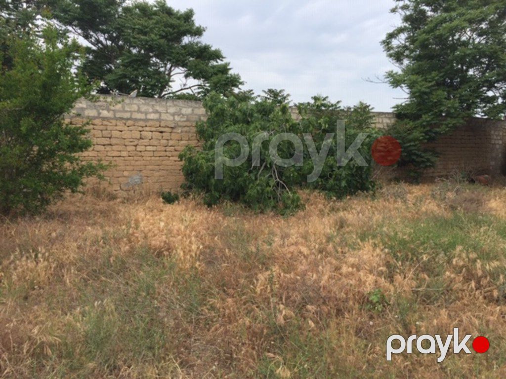 Satılır torpaq 30 sot — Torpaq, Bakı (8)