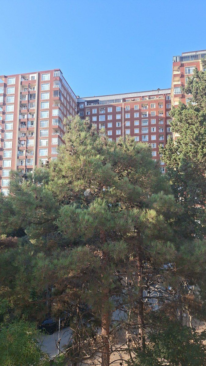 Satılır 2 otaqlı yeni tikili 55 m² — Mənzil, Bakı (5)