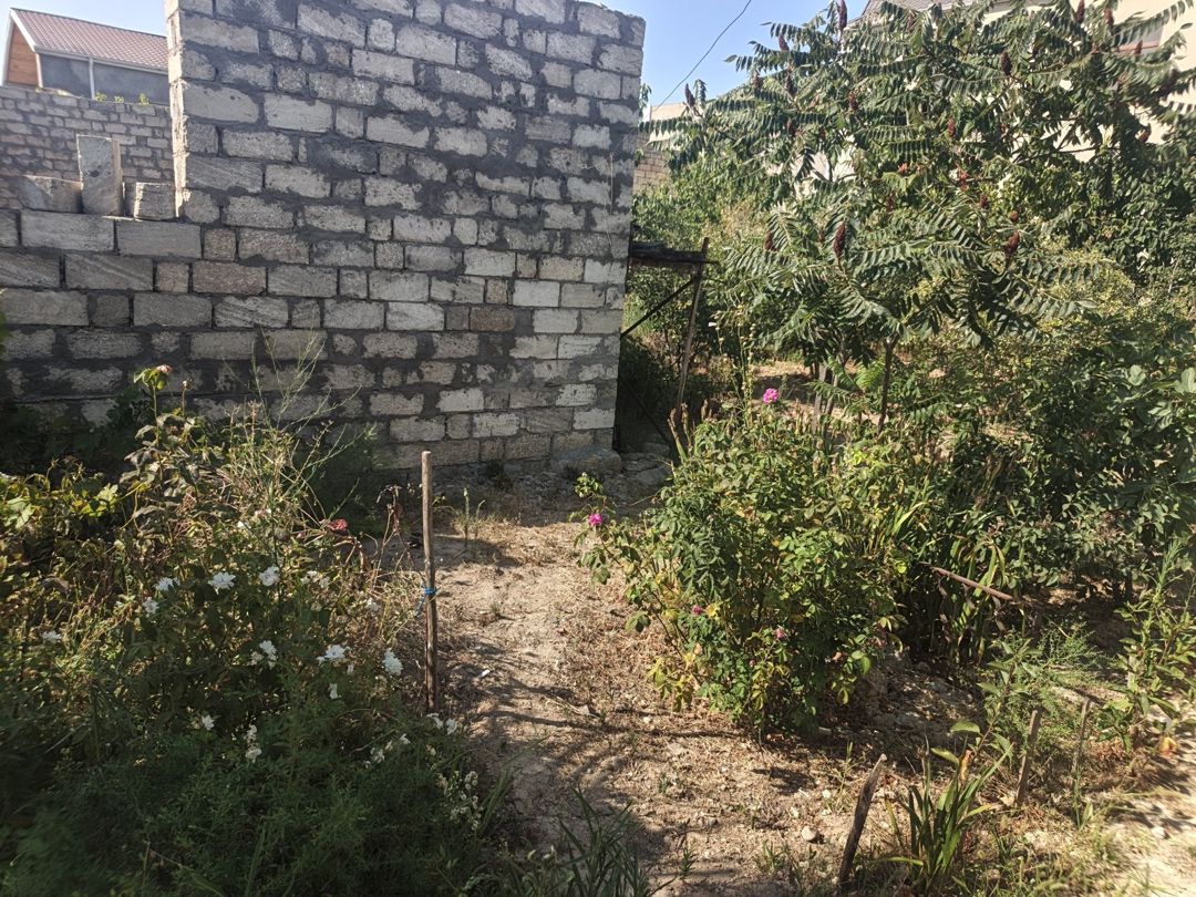 Satılır torpaq 9 sot — Torpaq, Bakı (11)