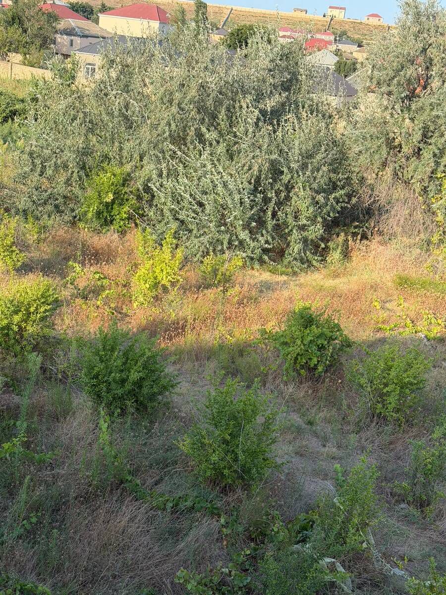 10 sot torpaq sahəsi, Sumqayıt ş. — Torpaq, Sumqayıt