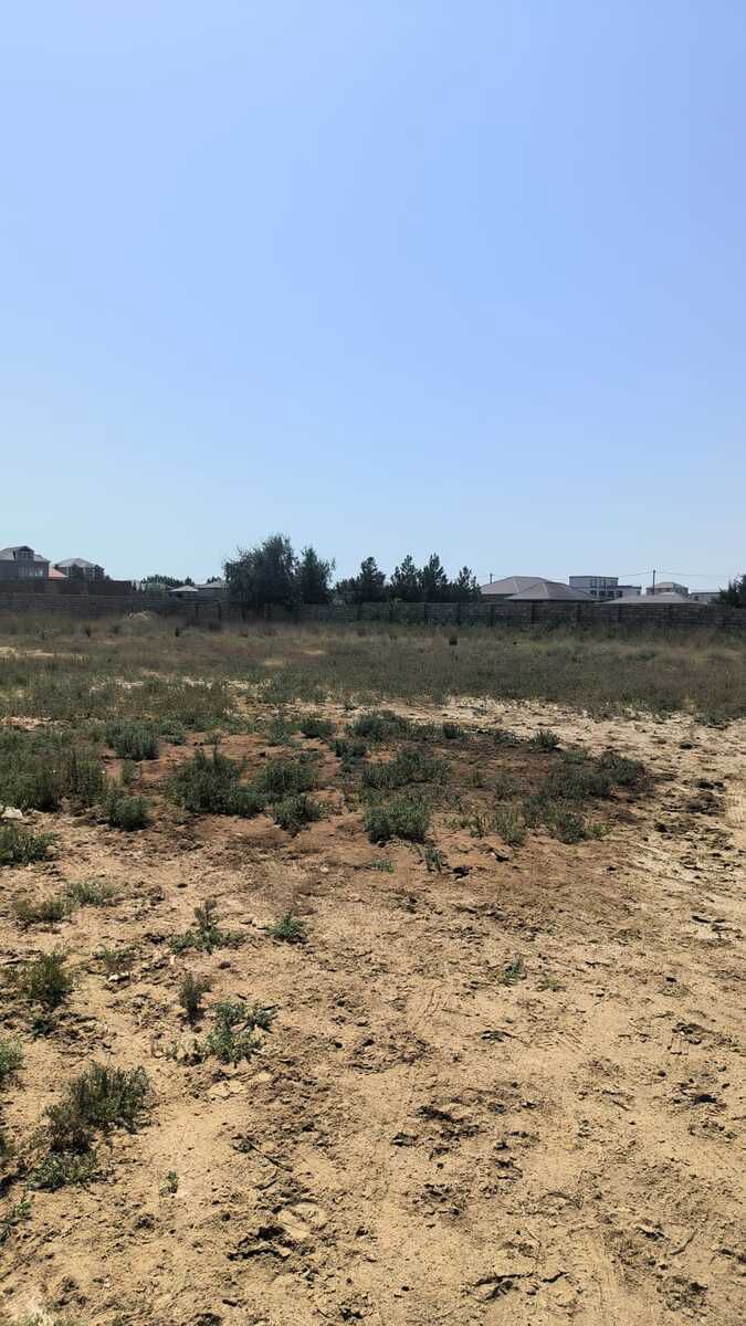 Satılır torpaq 30 sot — Torpaq, Bakı (3)