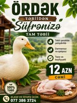 Təmizlənməsi və ya dirisi satılır Ördək – tam təbii, təmiz və — Qida məhsulları