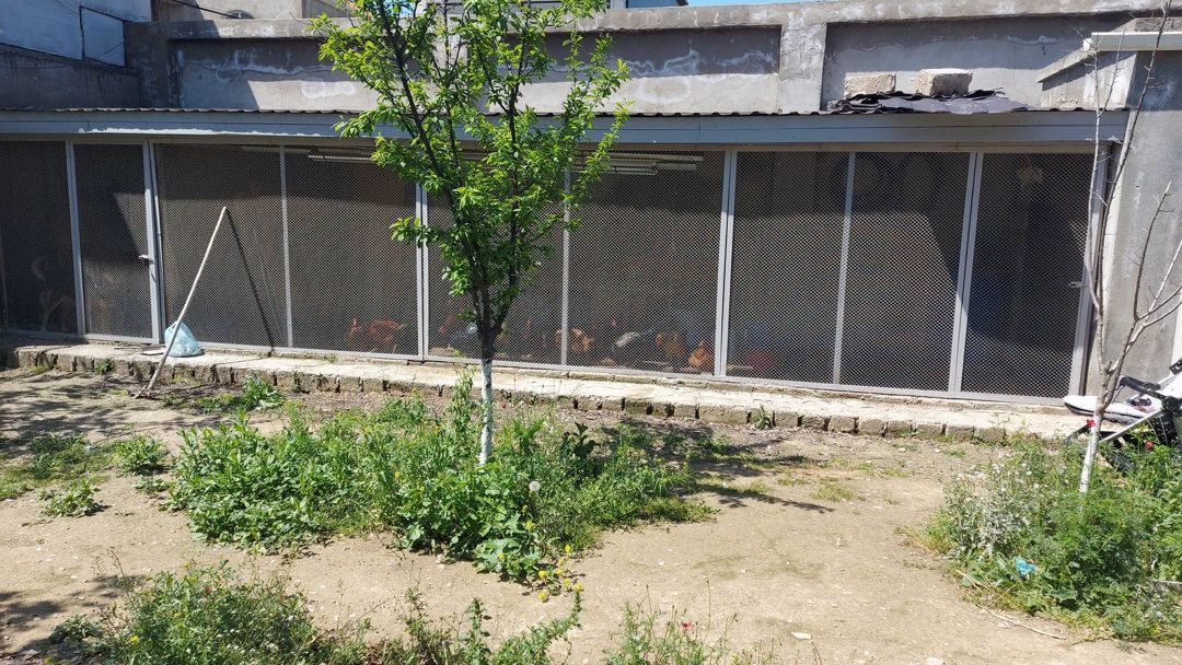 Satılır 6 otaqlı həyət evi/bağ evi 240 m² — Ev, villa, Bakı (10)
