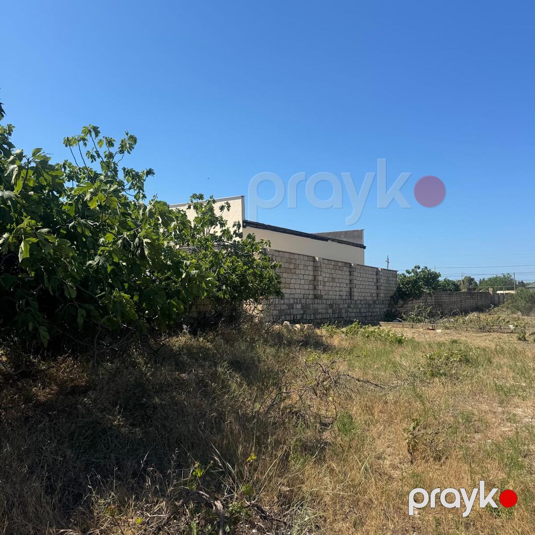Satılır torpaq 2 sot — Torpaq, Bakı (8)