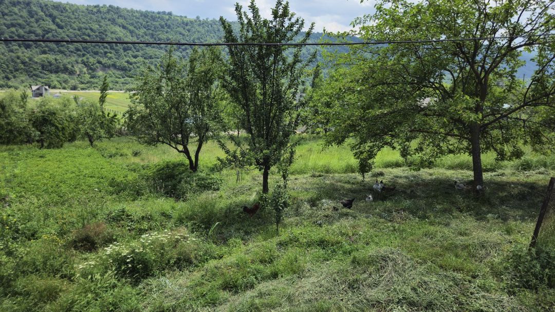 6 sot torpaq sahəsi, Qusar r. — Torpaq, Qusar