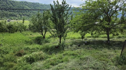 6 sot torpaq sahəsi, Qusar r.