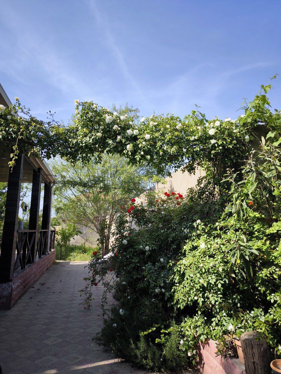 Satılır 4 otaqlı həyət evi/bağ evi 130 m² — Ev, villa, Bakı (6)