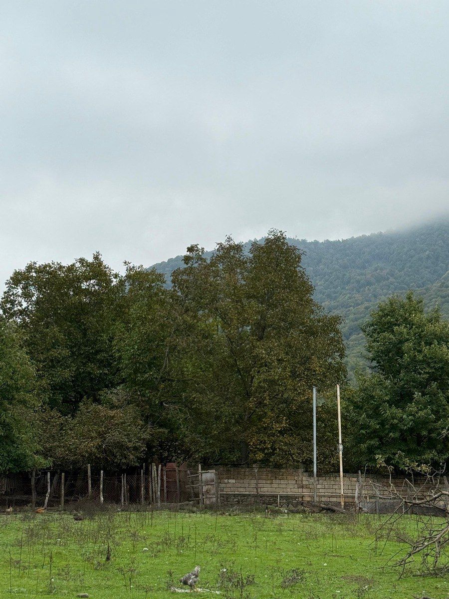 Satılır torpaq 4 sot — Torpaq, Qəbələ (10)