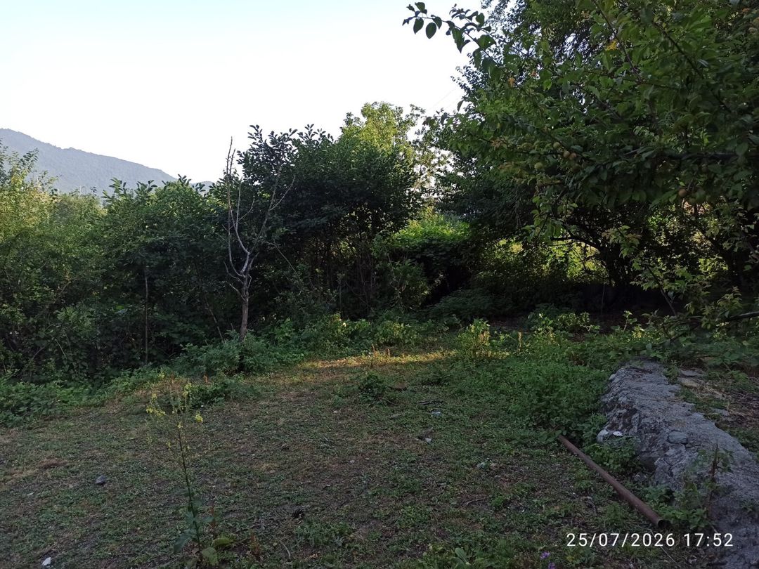 Bağ evi, İsmayıllı r. — Daşınmaz əmlak, İsmayıllı (10)