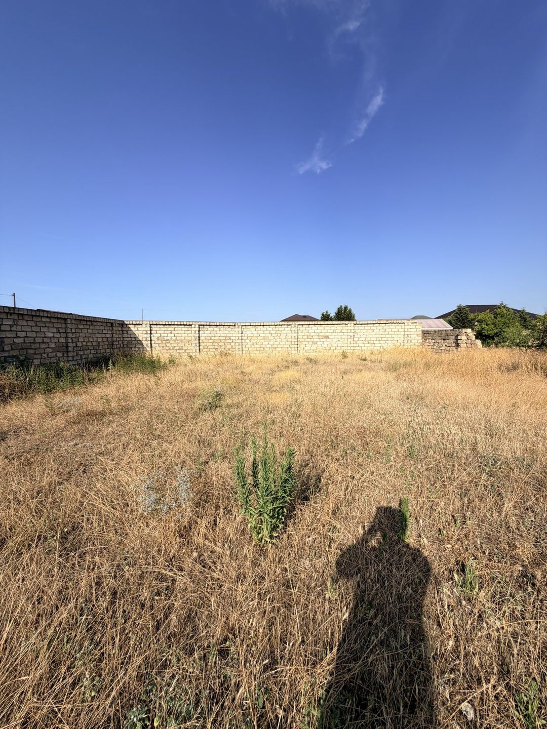 Satılır torpaq 11 sot — Torpaq, Bakı (2)