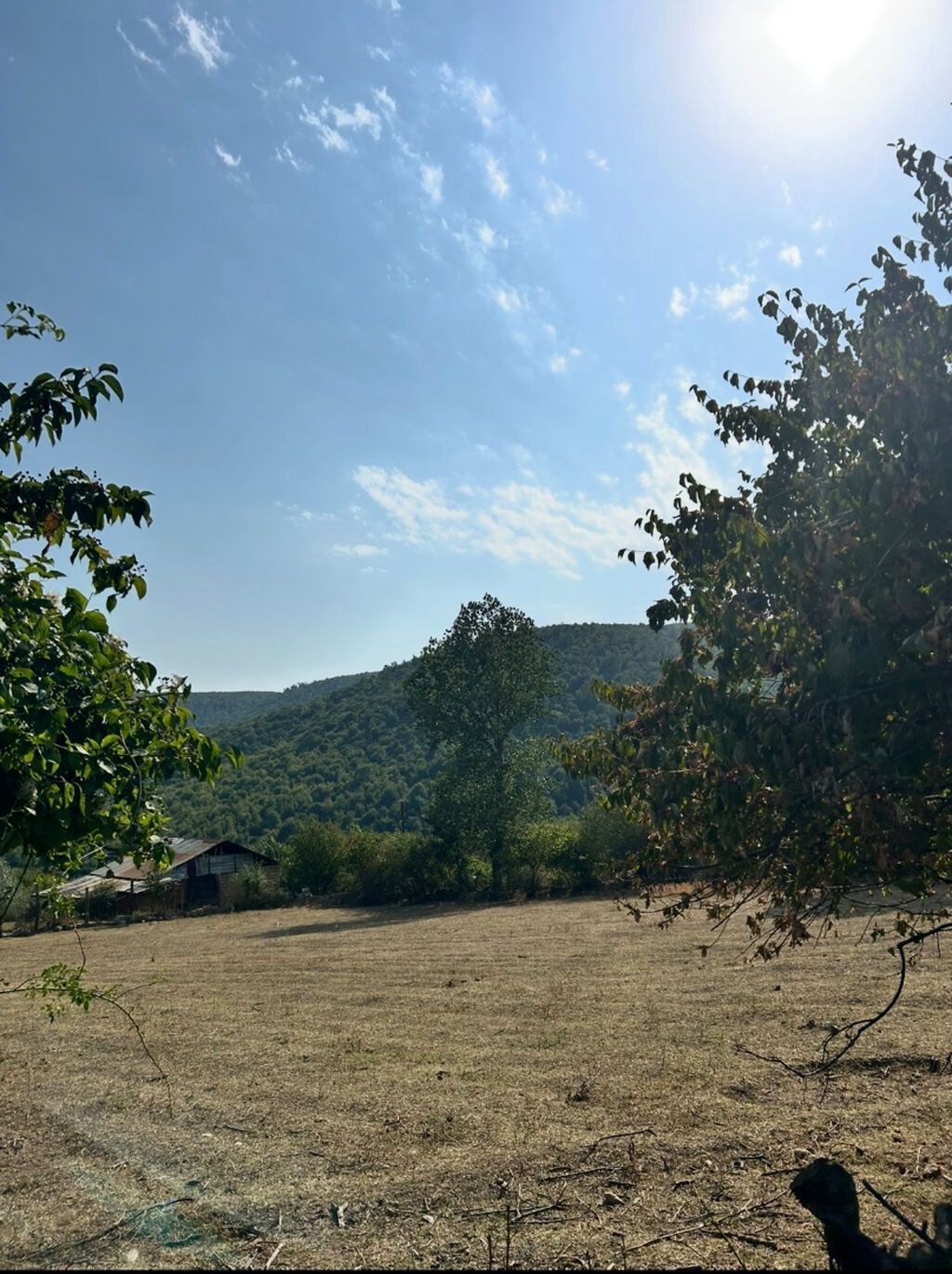 12 sot, Tikinti, Mülkiyyətçi, Kupça (Çıxarış) — Torpaq, Oğuz