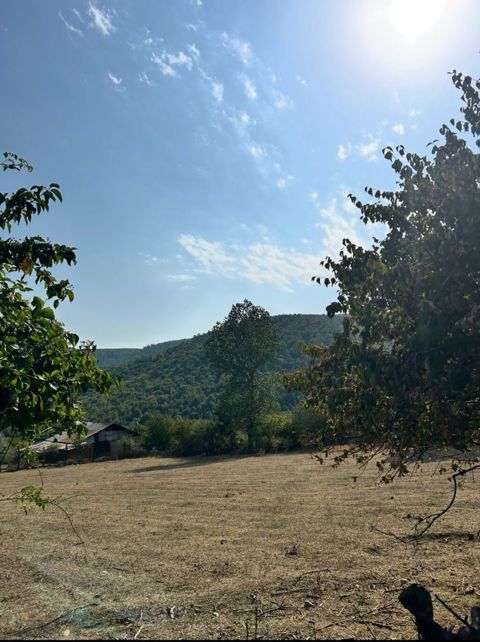 12 sot, Tikinti, Mülkiyyətçi, Kupça (Çıxarış)