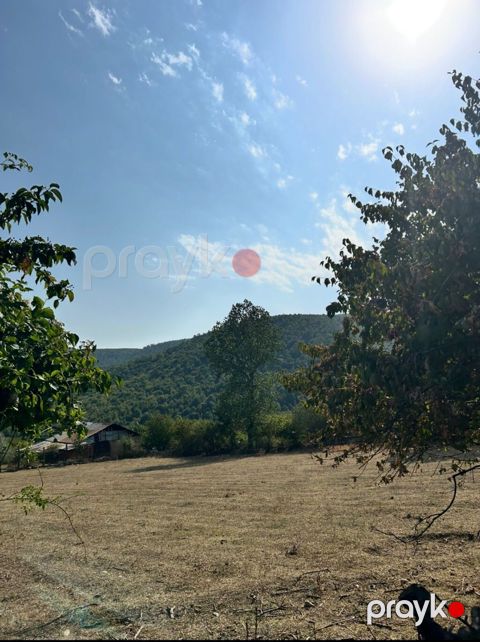 12 sot, Tikinti, Mülkiyyətçi, Kupça (Çıxarış)