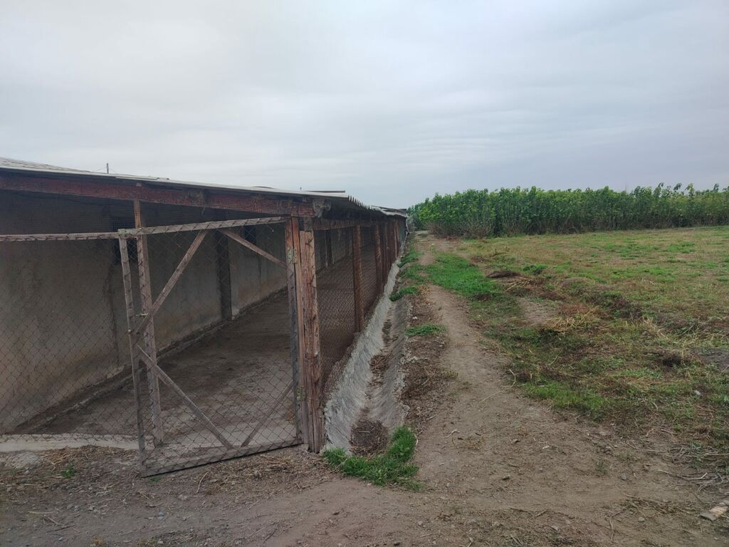 Ferma mal bazarina bir kilometr mesafede yerlesirqarabag su — Daşınmaz əmlak, Bərdə (9)