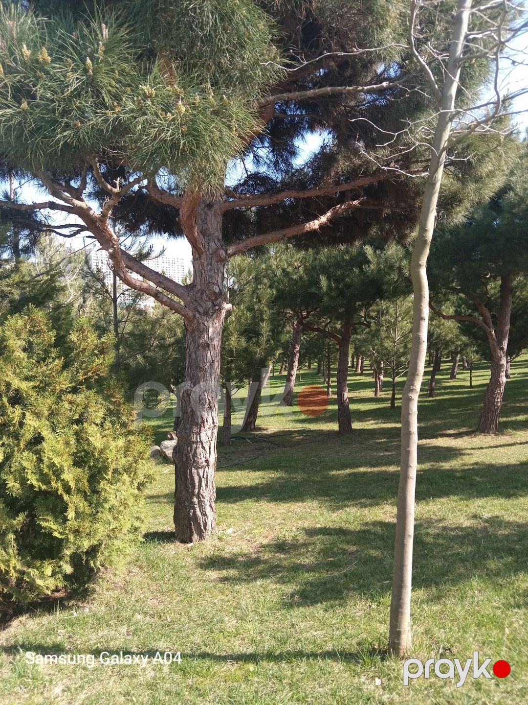 Satılır 2 otaqlı yeni tikili 55.9 m² — Mənzil, Bakı (4)